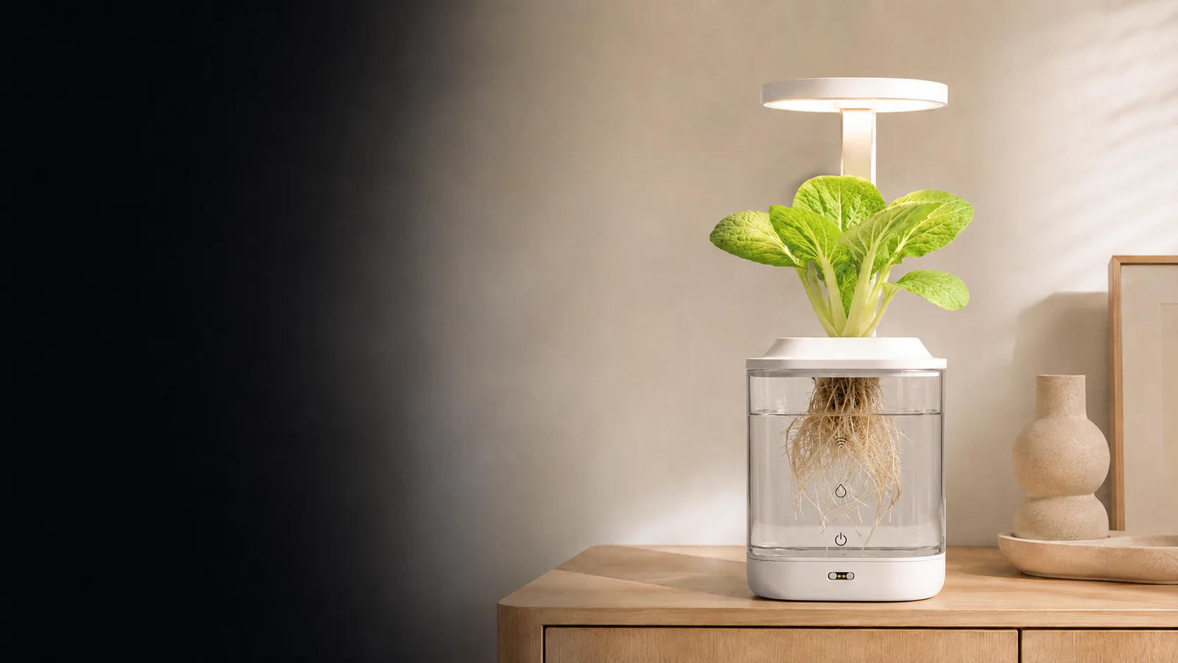 芽果 Mini 透明水仓与植物根系的桌面种植场景